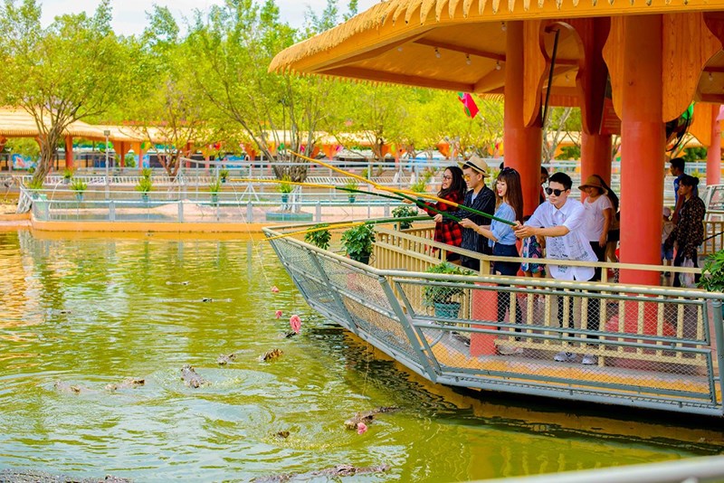 Thử cảm giác câu cá sấu tại Vương quốc cá sấu 