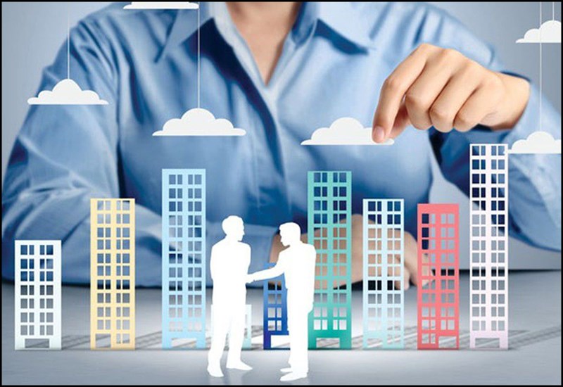 Để phát huy hết khả năng của mình Sư Tử cần phải có được môi trường thuận lợi,
