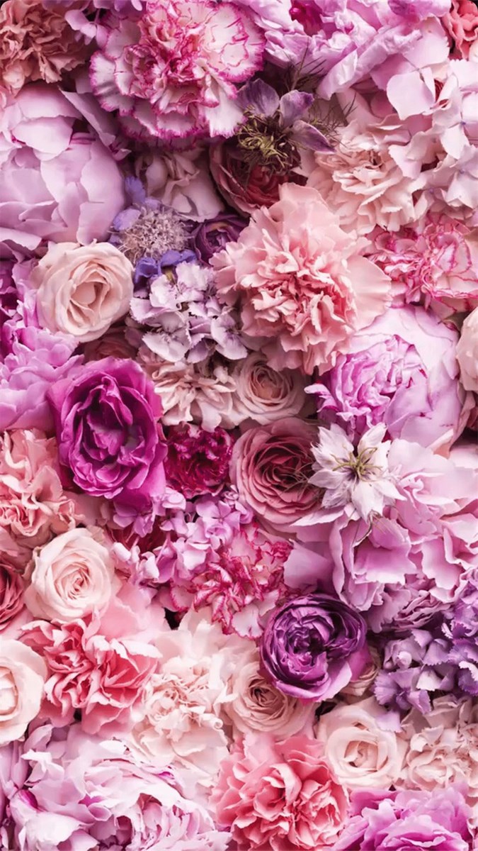 Nền hồng tuyệt vời - Tổng hợp bức tranh, hình nền, và wallpaper màu hồng đẹp  nhất