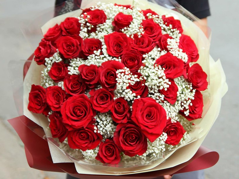 Tải ảnh hoa hồng đẹp nhất tải hình hoa hồng đẹp nhất Miễn phí tải về
