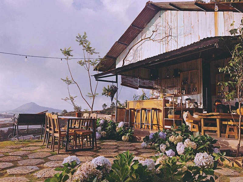 Không gian tràn ngập hoa tại Cafe Hai Ả