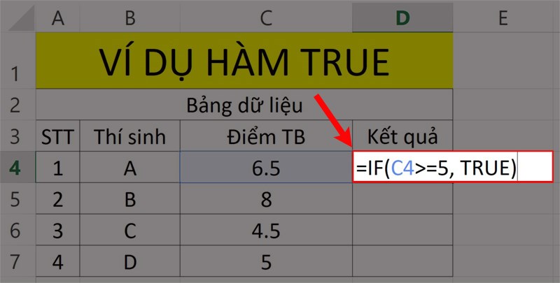 Ví dụ minh họa hàm TRUE kết hợp hàm IF.