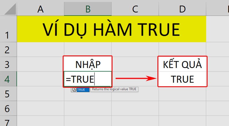 Nhập cú pháp hàm TRUE và nhấn phím Enter 