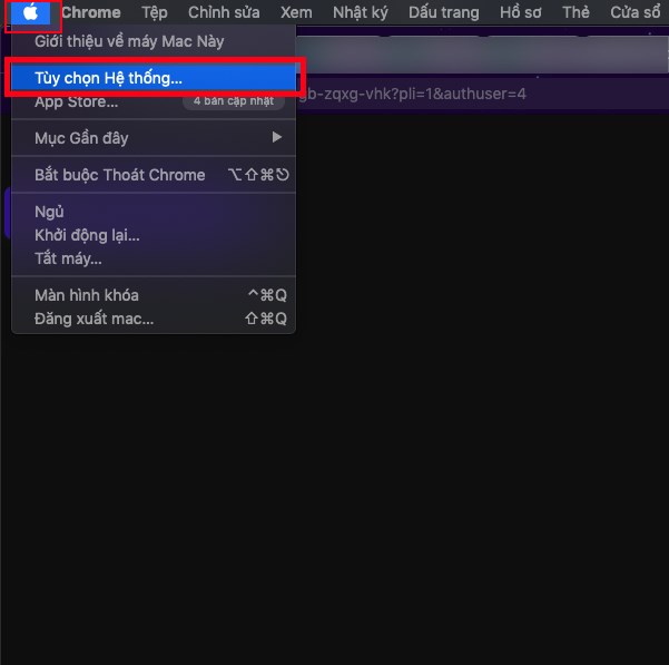 Nhấn vào biểu tượng quả táo ở góc trên bên trái, chọn Tùy chọn hệ thống