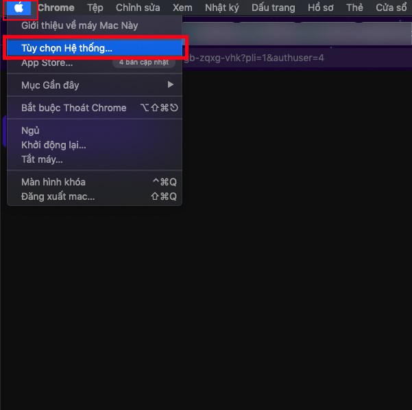 Nhấn v&agrave;o biểu tượng quả t&aacute;o ở g&oacute;c tr&ecirc;n b&ecirc;n tr&aacute;i, chọn T&ugrave;y chọn hệ thống