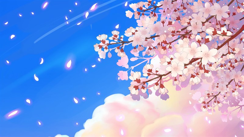 Hoa anh đào Nhật Bản: Tỏa sáng và tươi sáng dịu dàng, hoa anh đào làm say đắm bao trái tim của những người yêu thiên nhiên. Được trồng khắp các vườn hoa của Nhật Bản, bức ảnh những chùm hoa anh đào Nguyên Trãi sẽ khiến bạn cảm thấy vô cùng thích thú.