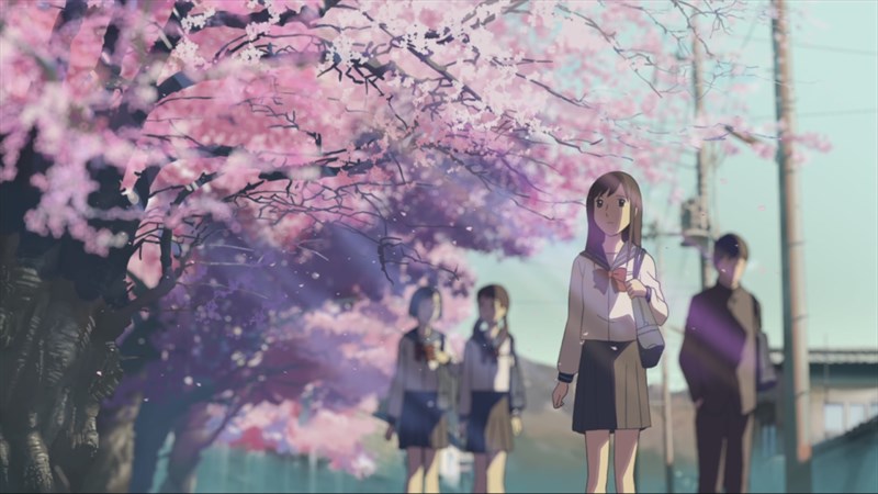 Ảnh Hoa Anh Đào Trong Gió | Cherry blossom wallpaper, Anime cherry blossom,  Wallpaper