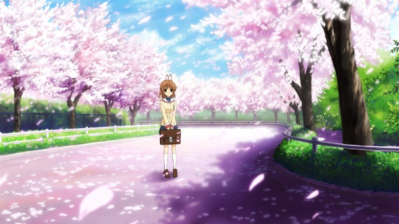 Bí mật đen tối đằng sau biểu tượng những cây hoa anh đào kinh điển trong  anime