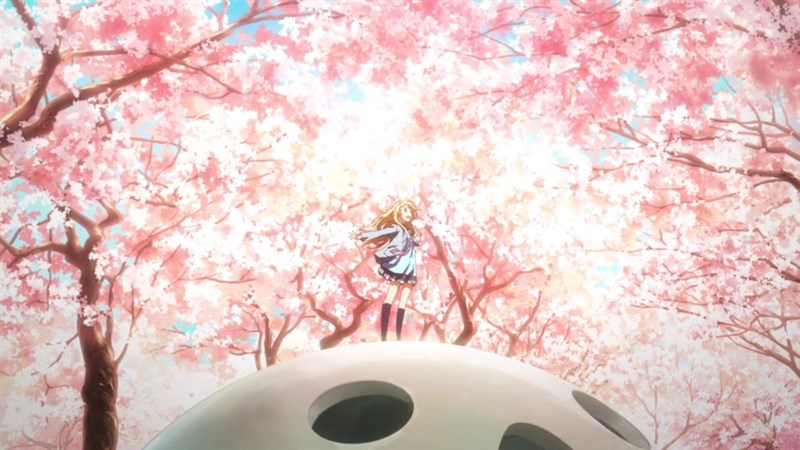 Ảnh nền hoa anh đào trong anime - 6 (Kích thước: 1920 x 1080)