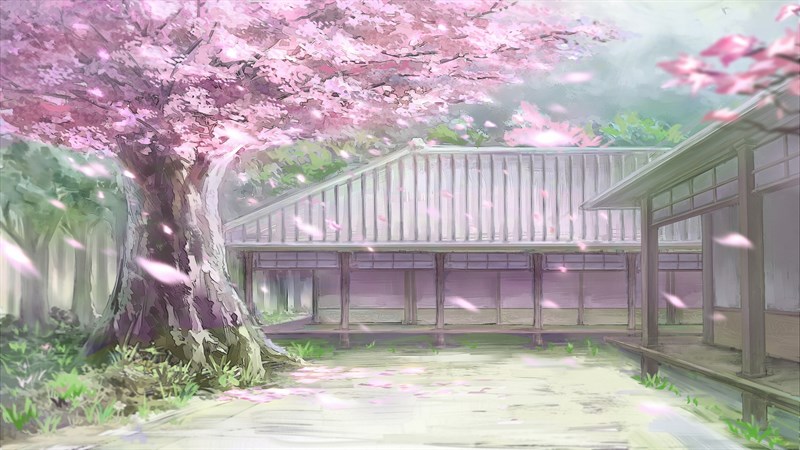 Mách bạn 101 hình nền hoa anh đào rơi anime hay nhất  Tin học Đông Hòa