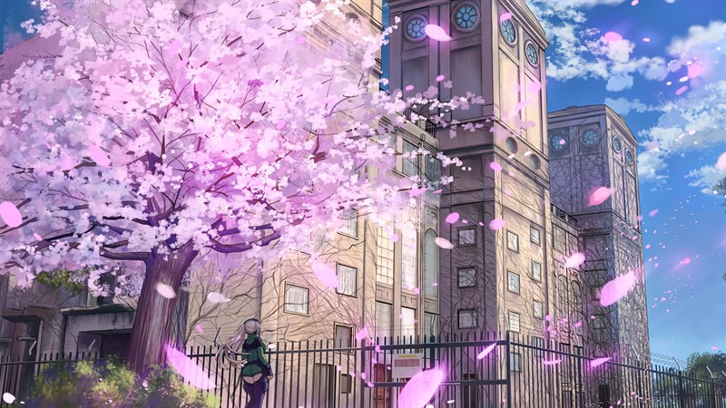 Ảnh nền hoa anh đào trong anime - 9 (Kích thước: 1920 x 1080)