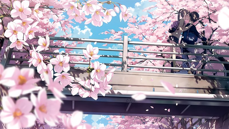 Tổng hợp hình nền máy tính hoa anh đào anime đẹp nhất cho bạn yêu ...