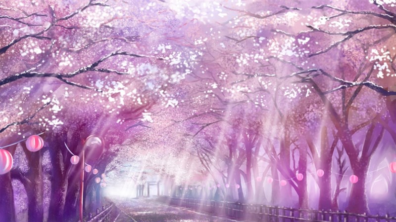 Top 100+ Hình nền hoa anh đào anime cực đẹp nhất hiện nay 43 | Cherry  blossom wallpaper, Art wallpaper, Japanese art