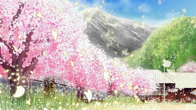 Ảnh nền hoa anh đào trong anime - 14 (Kích thước: 1920 x 1080)