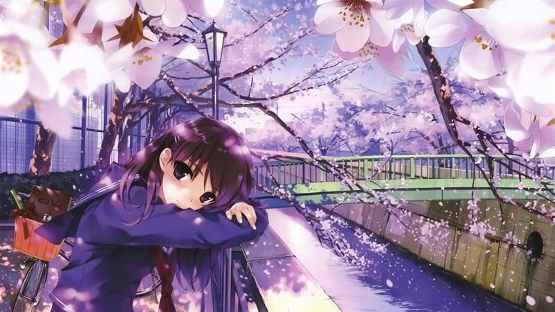 Ảnh nền hoa anh đào trong anime - 15 (Kích thước: 1920 x 1080)