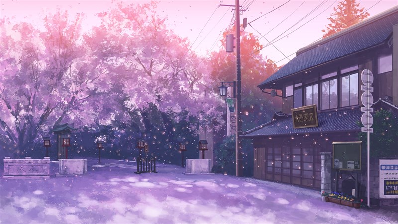 Ảnh nền hoa anh đào trong anime - 16 (Kích thước: 1920 x 1080)