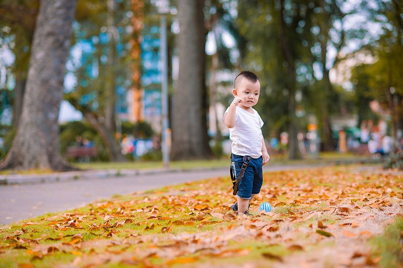 Chụp ảnh cho bé tại công viên Tao Đàn