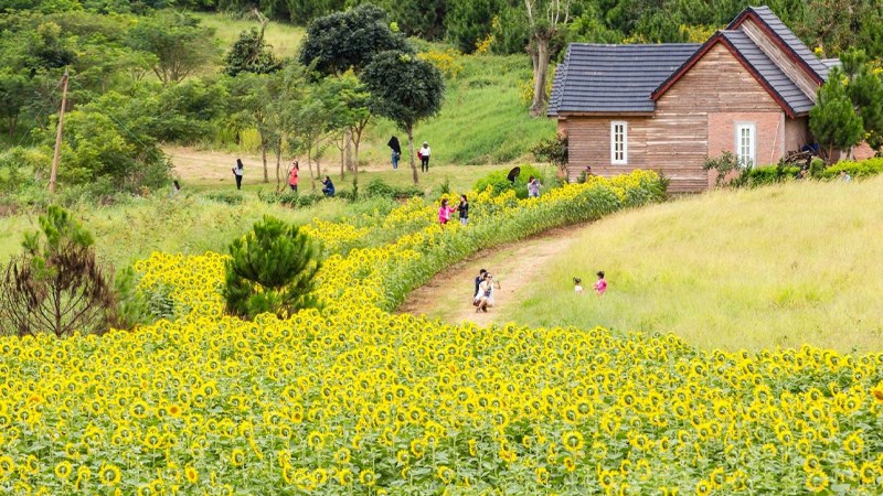 Dalat Milk Farm