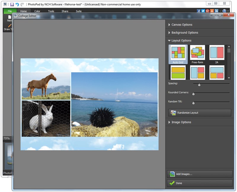 PhotoPad Image Editor