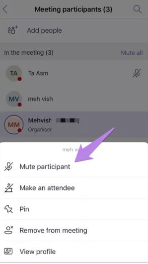 Chọn th&agrave;nh vi&ecirc;n m&agrave; bạn muốn tắt mic > Chọn Mute participant