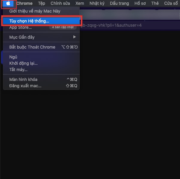 Nhấn vào biểu tượng quả táo ở góc trên bên trái, chọn Tùy chọn hệ thống