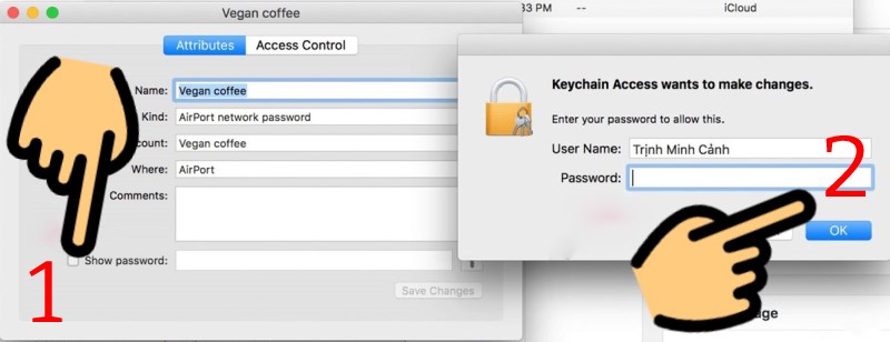 Tick chọn Show Password, nhập Password của máy rồi nhấn OK.