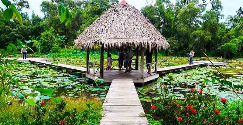 Du lịch Đồng Tháp