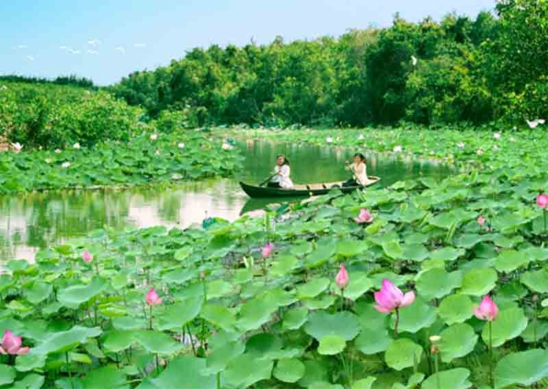 Du lịch Đồng Tháp