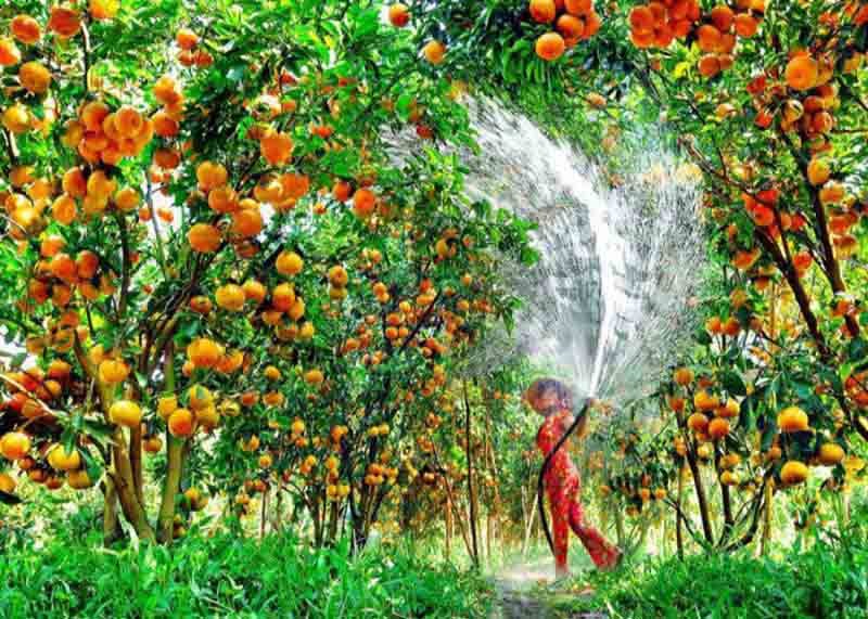Du lịch Đồng Tháp