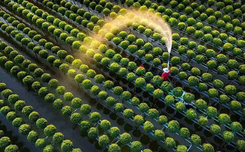 Du lịch Đồng Tháp