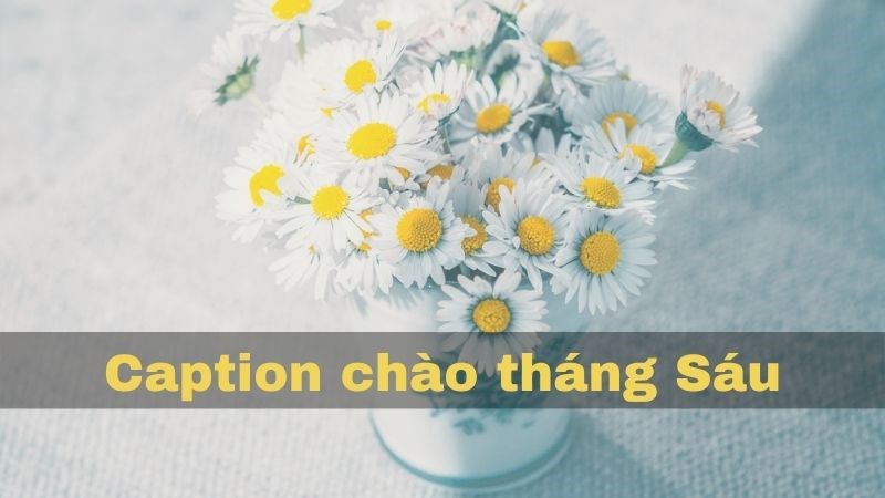 Caption chào tháng sáu