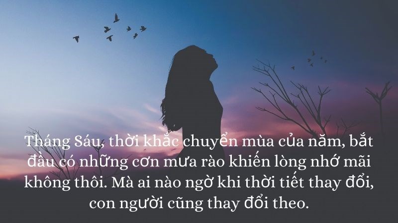 Stt chào tháng sáu hay nhất