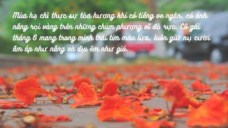 Stt chào tháng sáu hay nhất