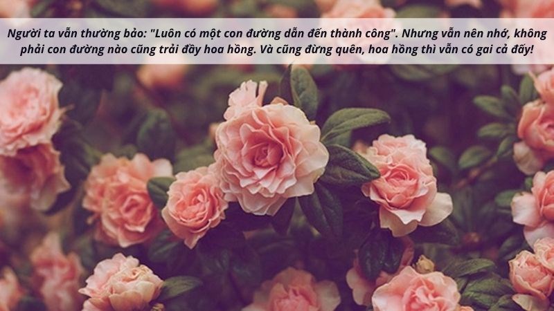 STT tháng 6 buồn