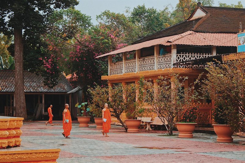 Vẻ đẹp thanh tịnh tại chùa Cò
