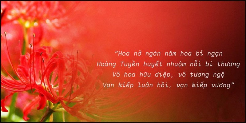 Bài thơ buồn về hoa bỉ ngạn - 02 Bài thơ buồn về hoa bỉ ngạn - 02