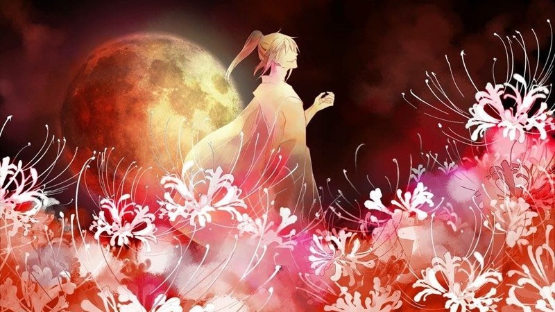 Ý nghĩa hoa bỉ ngạn Ý nghĩa hoa bỉ ngạn