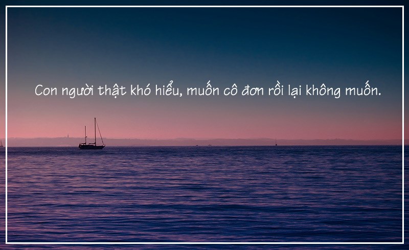 Con người thật khó hiểu, muốn cô đơn rồi lại không muốn.