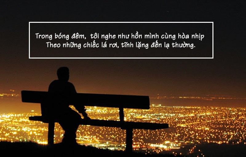 Tôi nghe như hồn mình cùng hòa nhịp theo những chiếc lá rơi