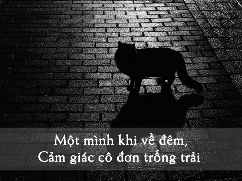Cảm giác khi đêm về