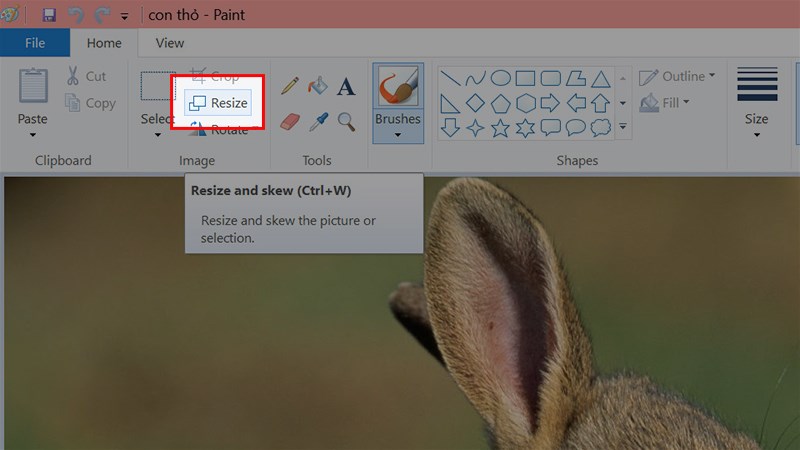 Tại thẻ Home chọn Resize hoặc nhấn tổ hợp ph&iacute;m Ctrl + W