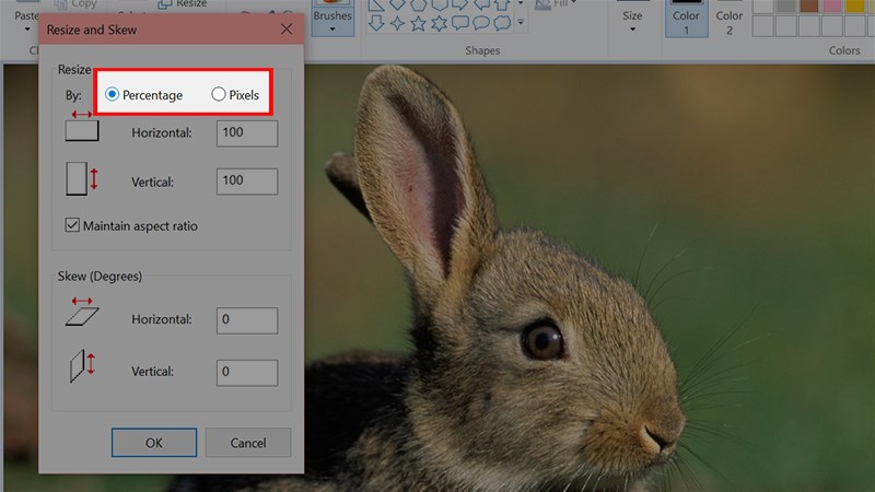 Sẽ c&oacute; 2 c&aacute;ch thay đổi k&iacute;ch thước ảnh để bạn lựa chọn