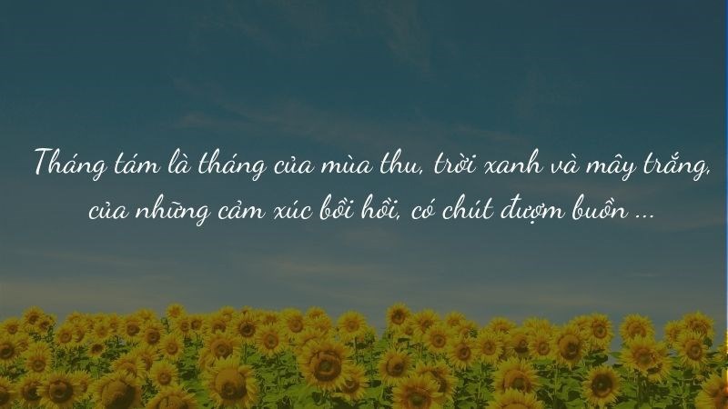Tháng tám là tháng của mùa thu, trời xanh và mây trắng, của những cảm xúc bồi hồi, có chút đượm buồn