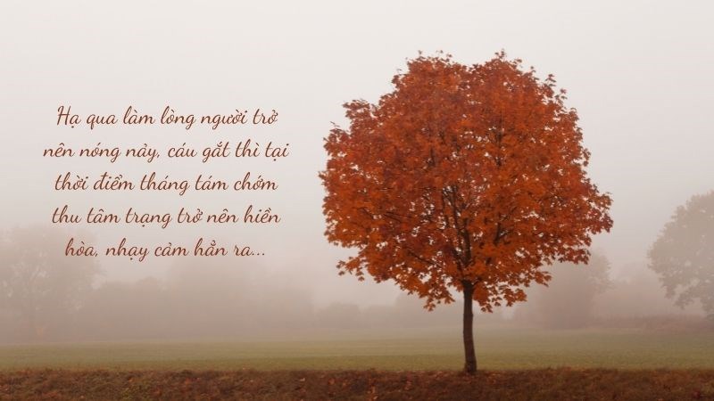 Hạ qua làm lòng người trở nên nóng nảy, cáu gắt thì tại thời điểm tháng tám chớm thu tâm trạng trở nên hiền hòa, nhạy cảm hẳn ra.