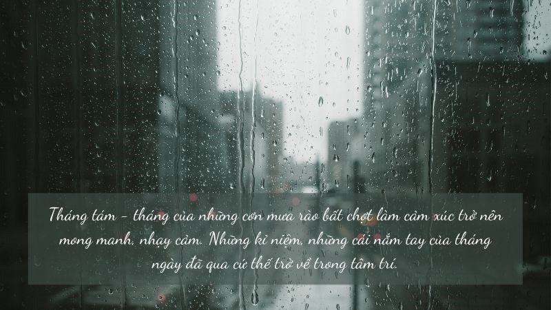 Tháng tám - tháng của những cơn mưa rào bất chợt làm cảm xúc trở nên mong manh, nhạy cảm. Những kỉ niệm, những cái nắm tay của tháng ngày đã qua cứ thế trở về trong tâm trí.