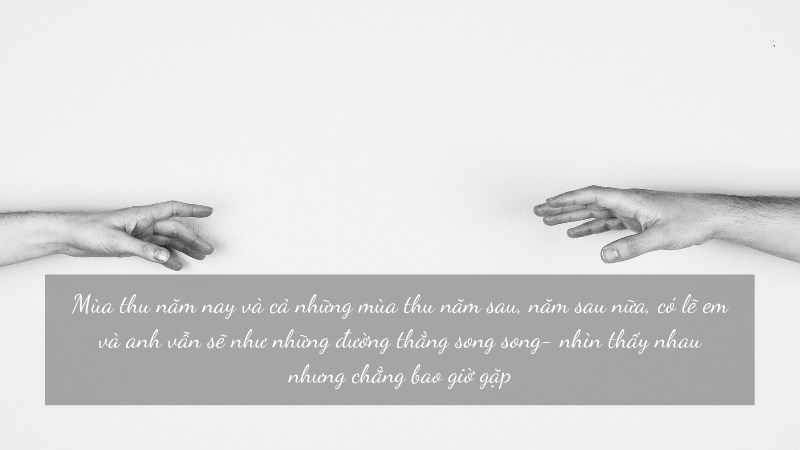Mùa thu năm nay và cả những mùa thu năm sau, năm sau nữa, có lẽ em và anh vẫn sẽ như những đường thẳng song song- nhìn thấy nhau nhưng chẳng bao giờ gặp