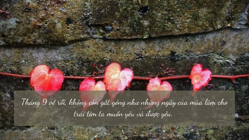  Tháng 9 về rồi, không còn gắt gỏng như những ngày của mùa làm cho trái tim ta muốn yêu và được yêu. Chào tháng mới, tháng chín với nhiều hi vọng mới