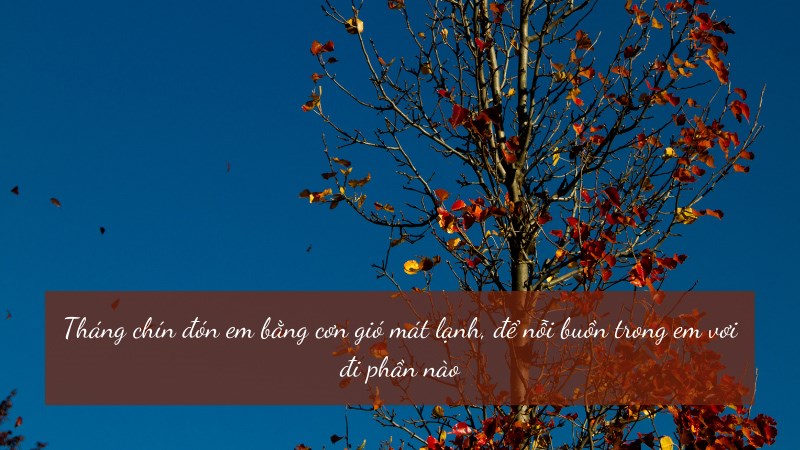 Tháng chín đón em bằng cơn gió mát lạnh, để nỗi buồn trong em vơi đi phần nào