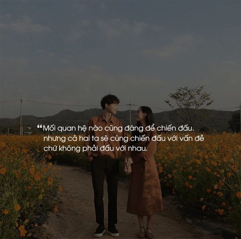 Stt dễ thương