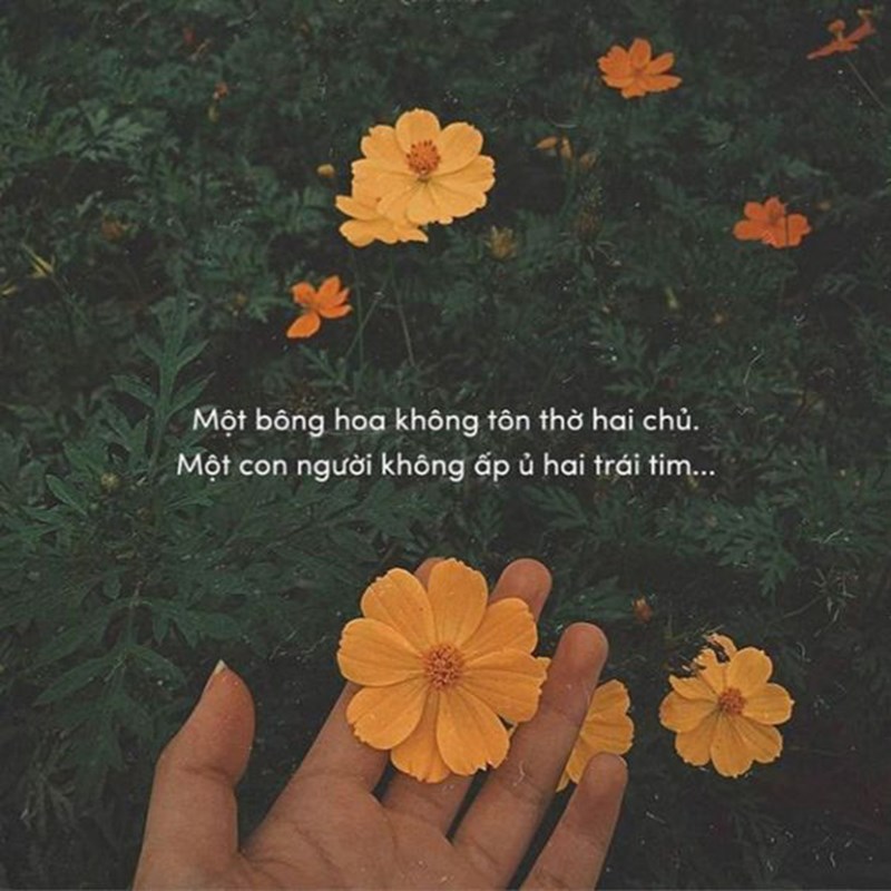 Stt dễ thương, vui tươi